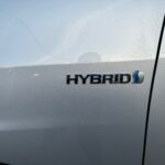 IMG_6496 IMG_6496
